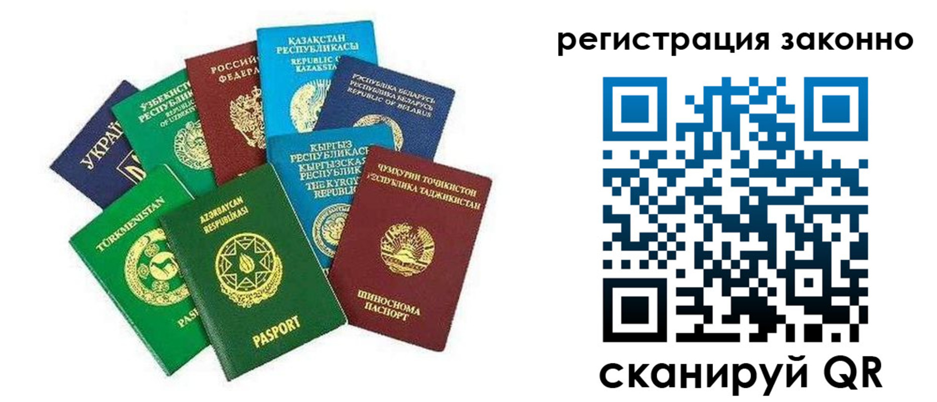 временная регистрация поиск в Барыше